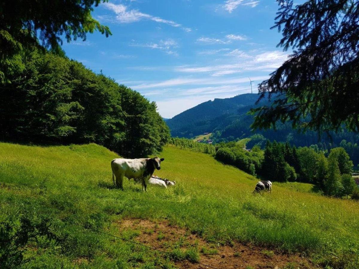 Hotel Walkenstein Oberwolfach Eksteriør bilde