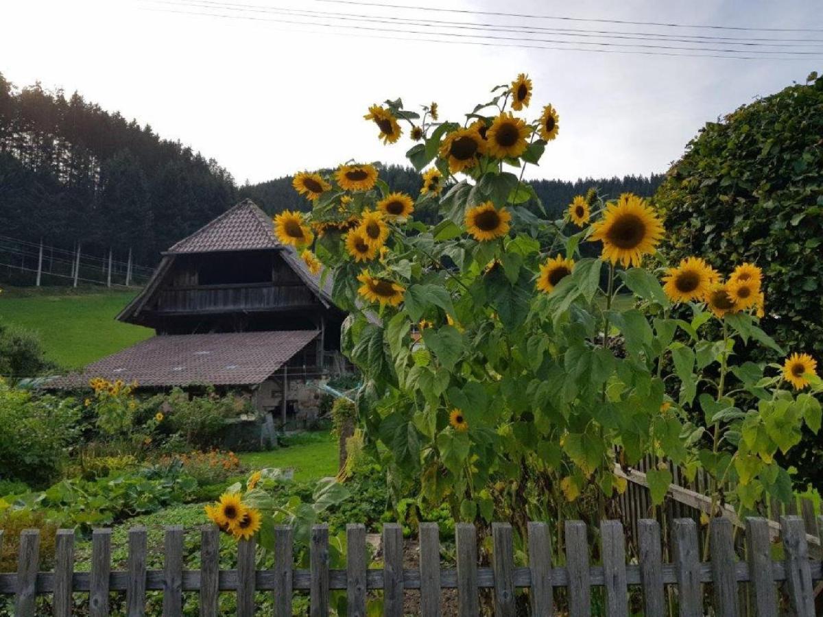 Hotel Walkenstein Oberwolfach Eksteriør bilde